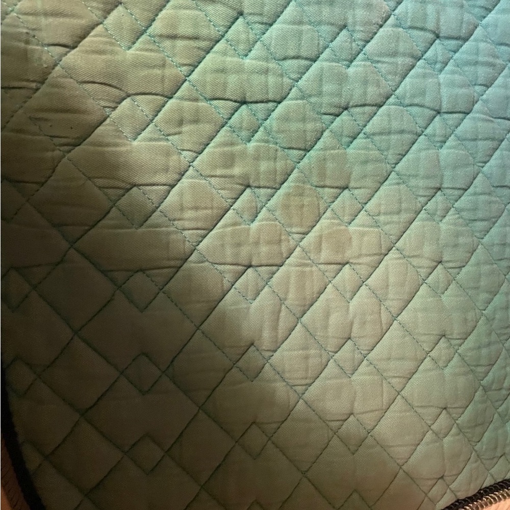 AP English Saddle Pad Lot - Picture 12 of 14